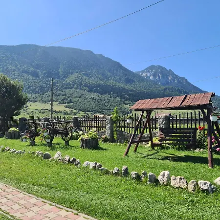Maricom Zărneşti
